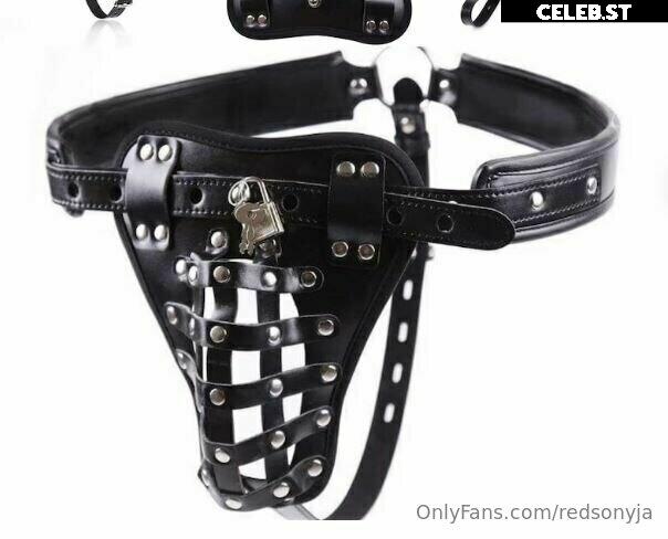 redsonyja-dominatrix Image 22230203