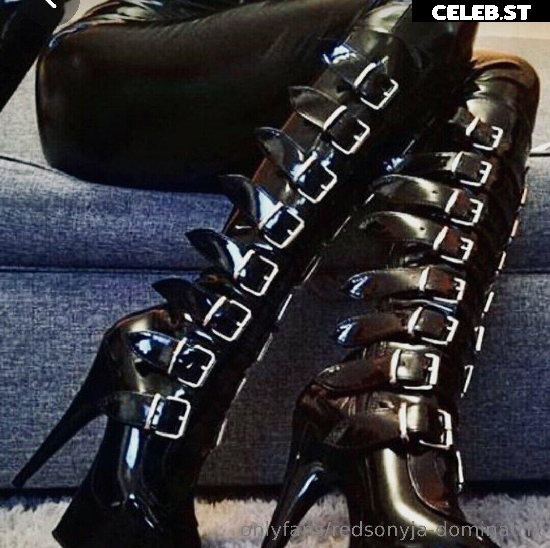 redsonyja-dominatrix Image 22230208