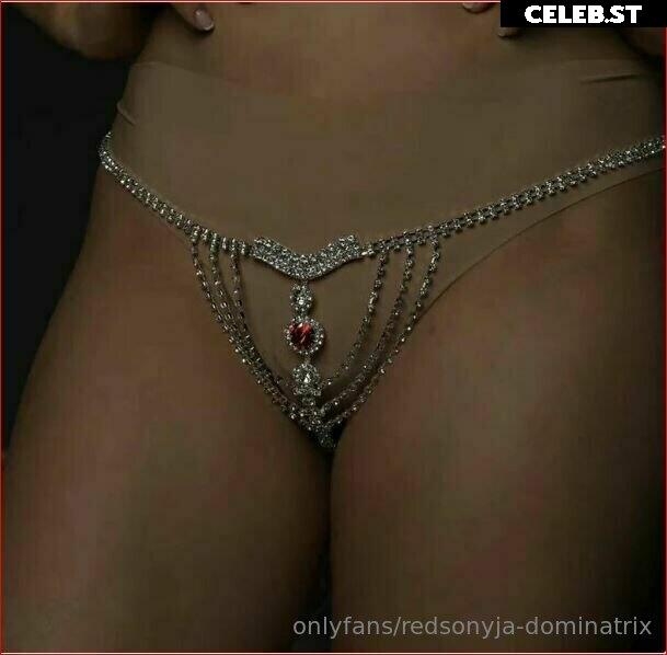 redsonyja-dominatrix Image 22230264
