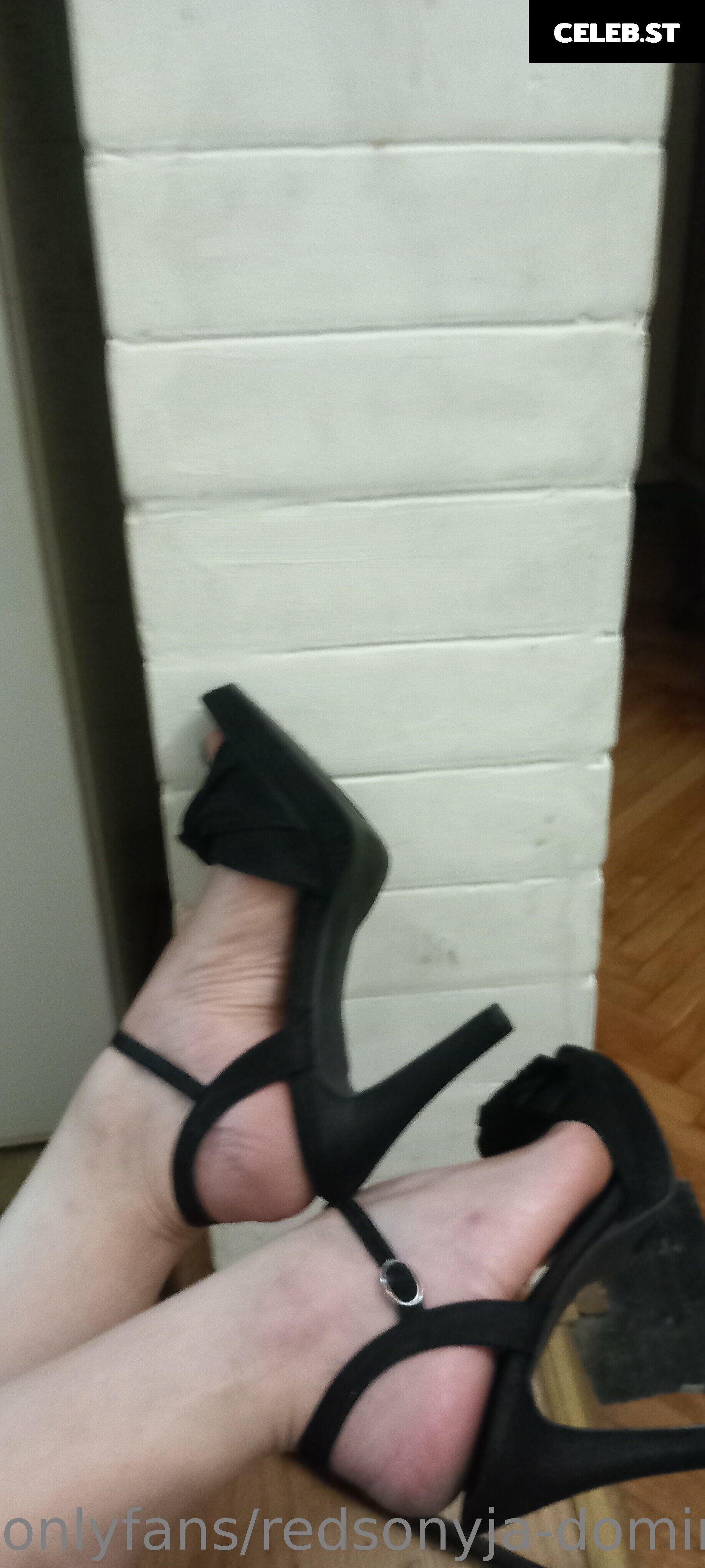 redsonyja-dominatrix Image 22230253