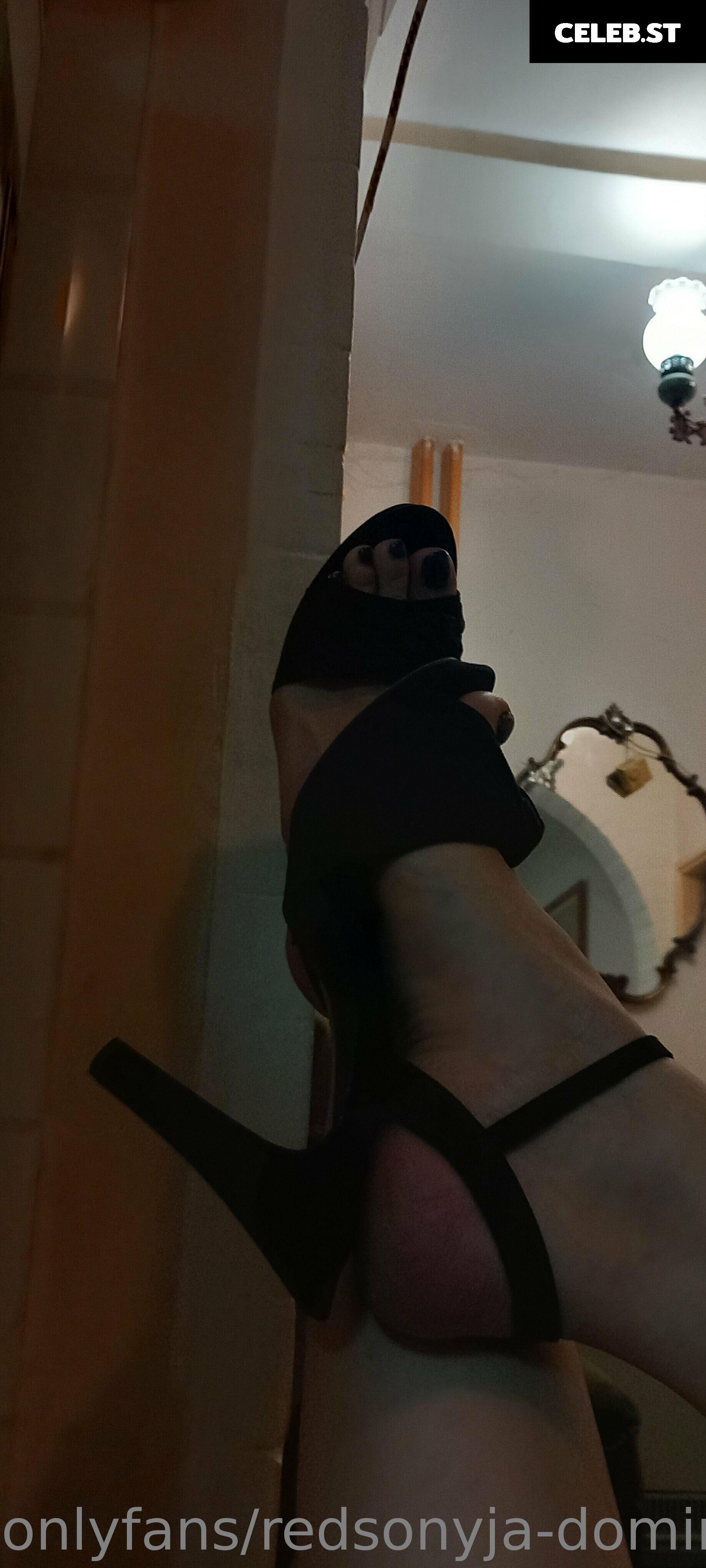 redsonyja-dominatrix Image 22230243