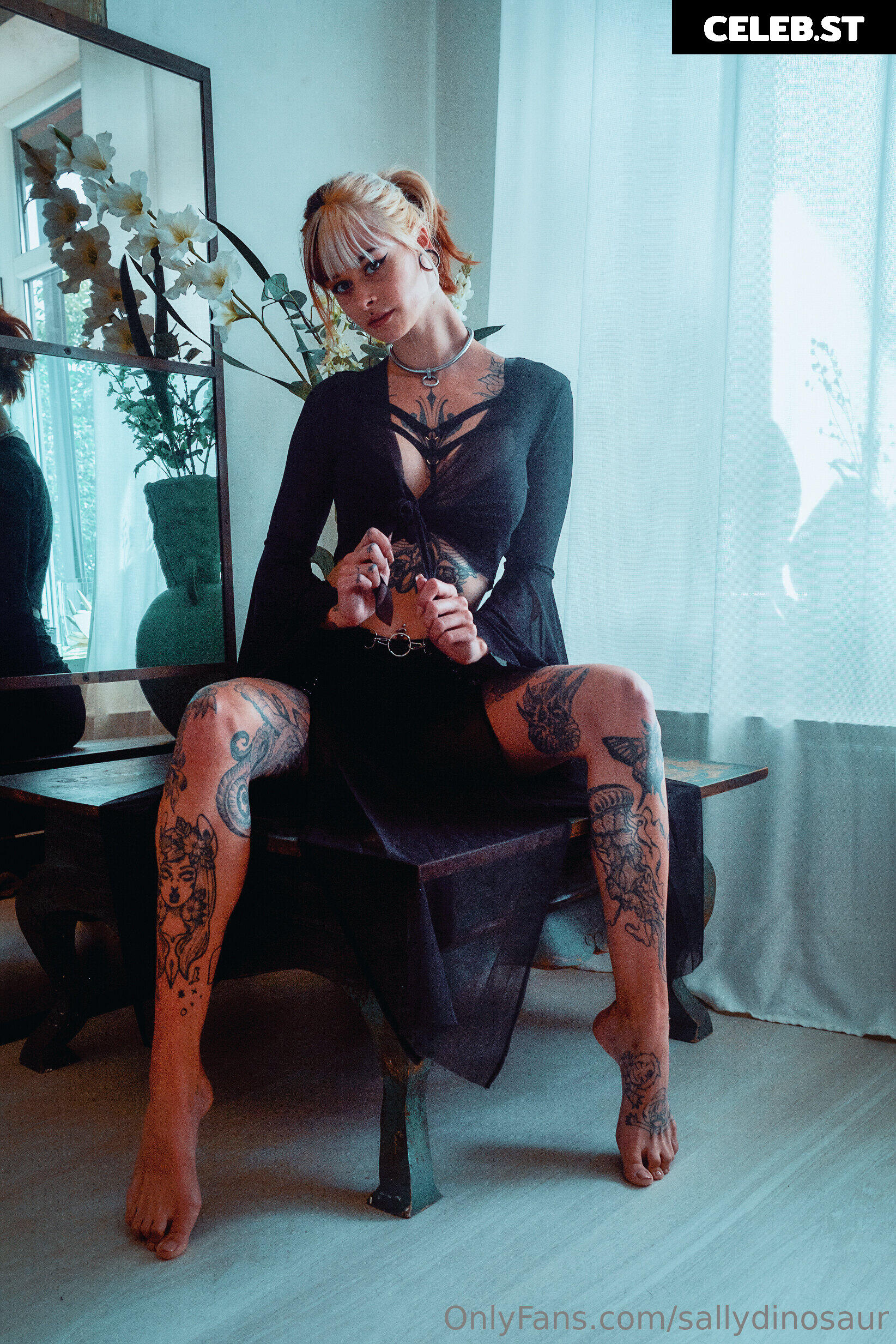 Sallydinosaur Image 2220142