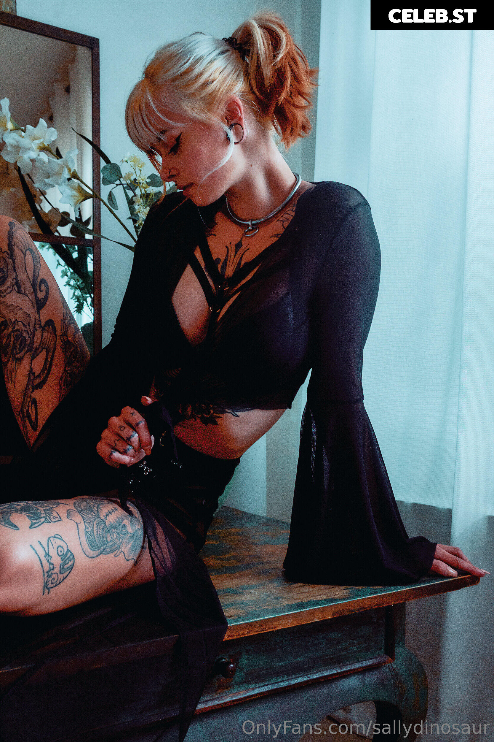 Sallydinosaur Image 2220306