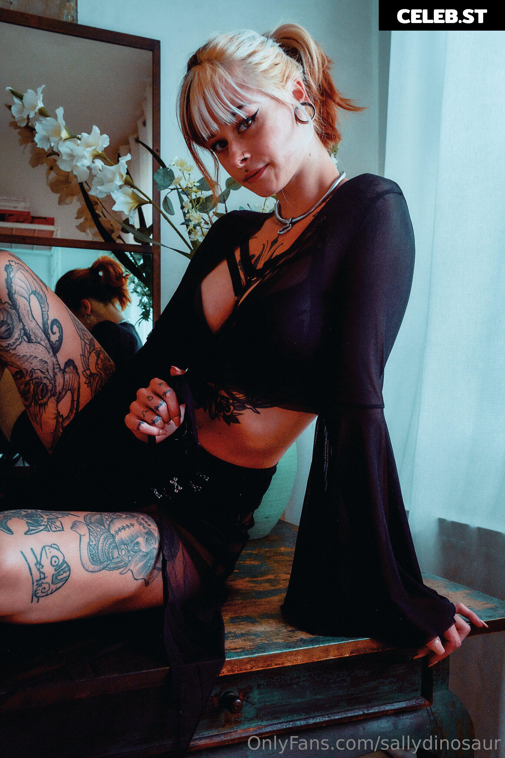 Sallydinosaur Image 2220210