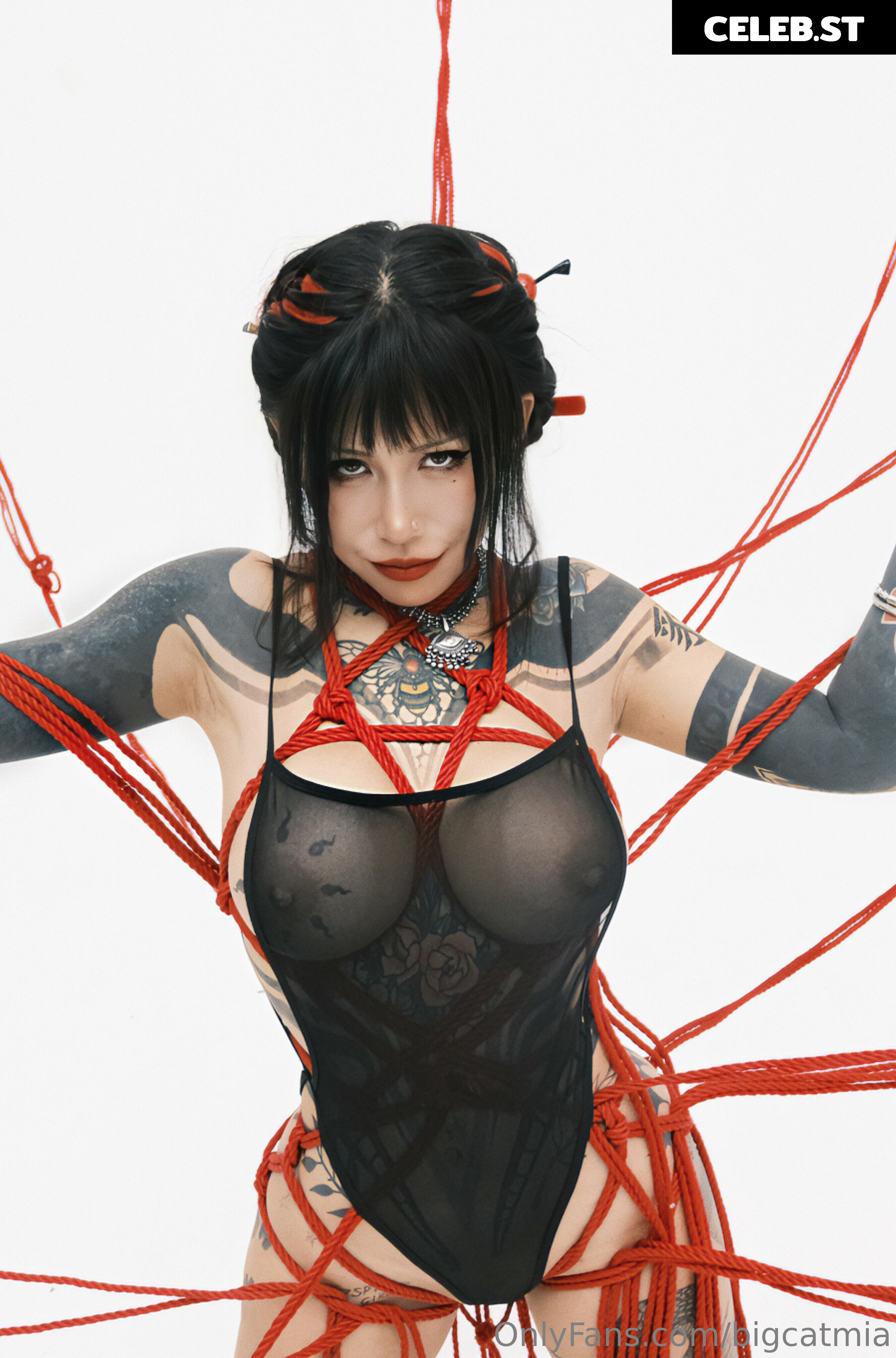 bigcatmia Image 2217609