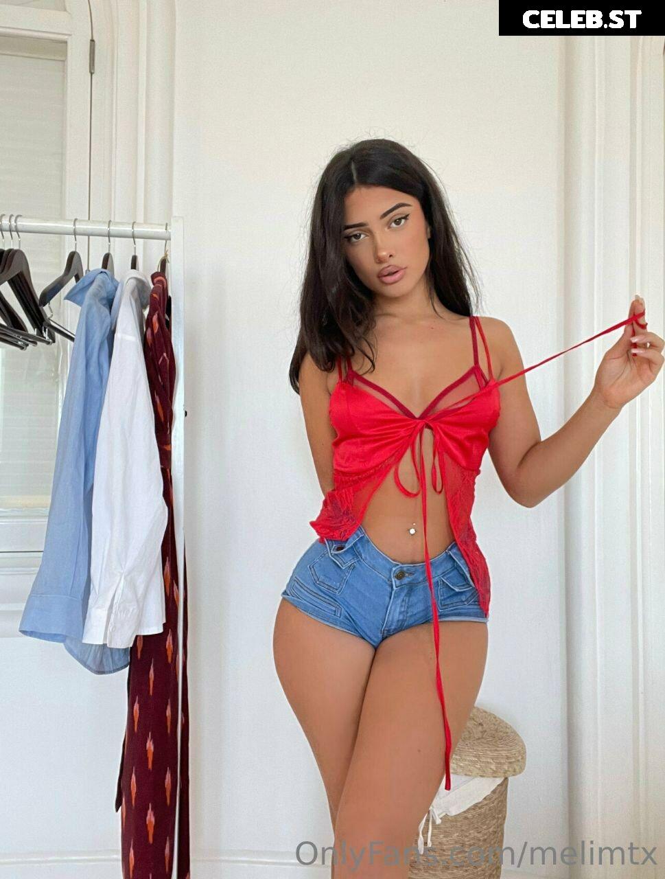 MelimTX Image 2212033