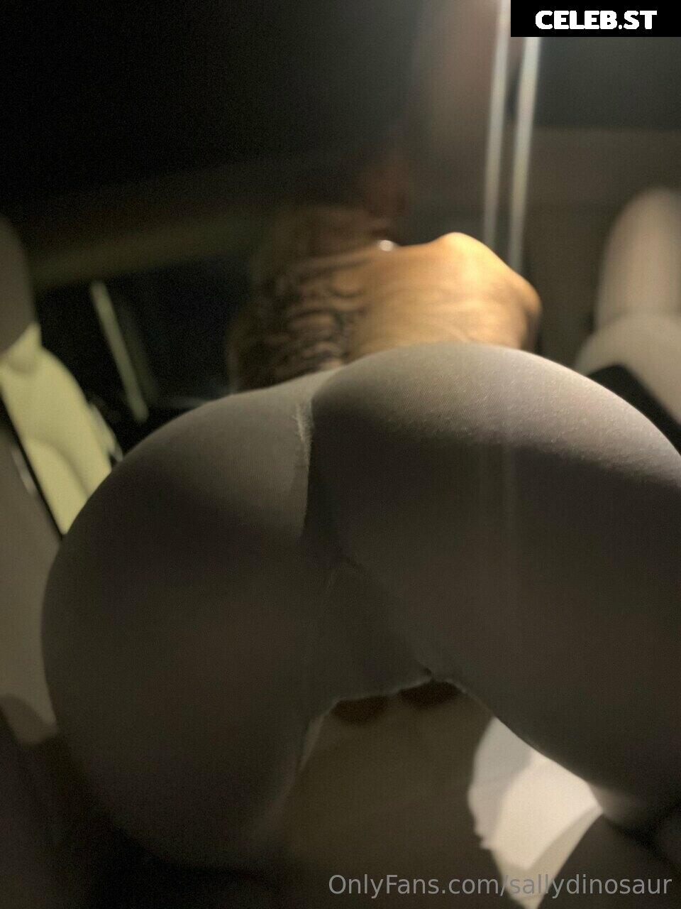 Sallydinosaur Image 2210847