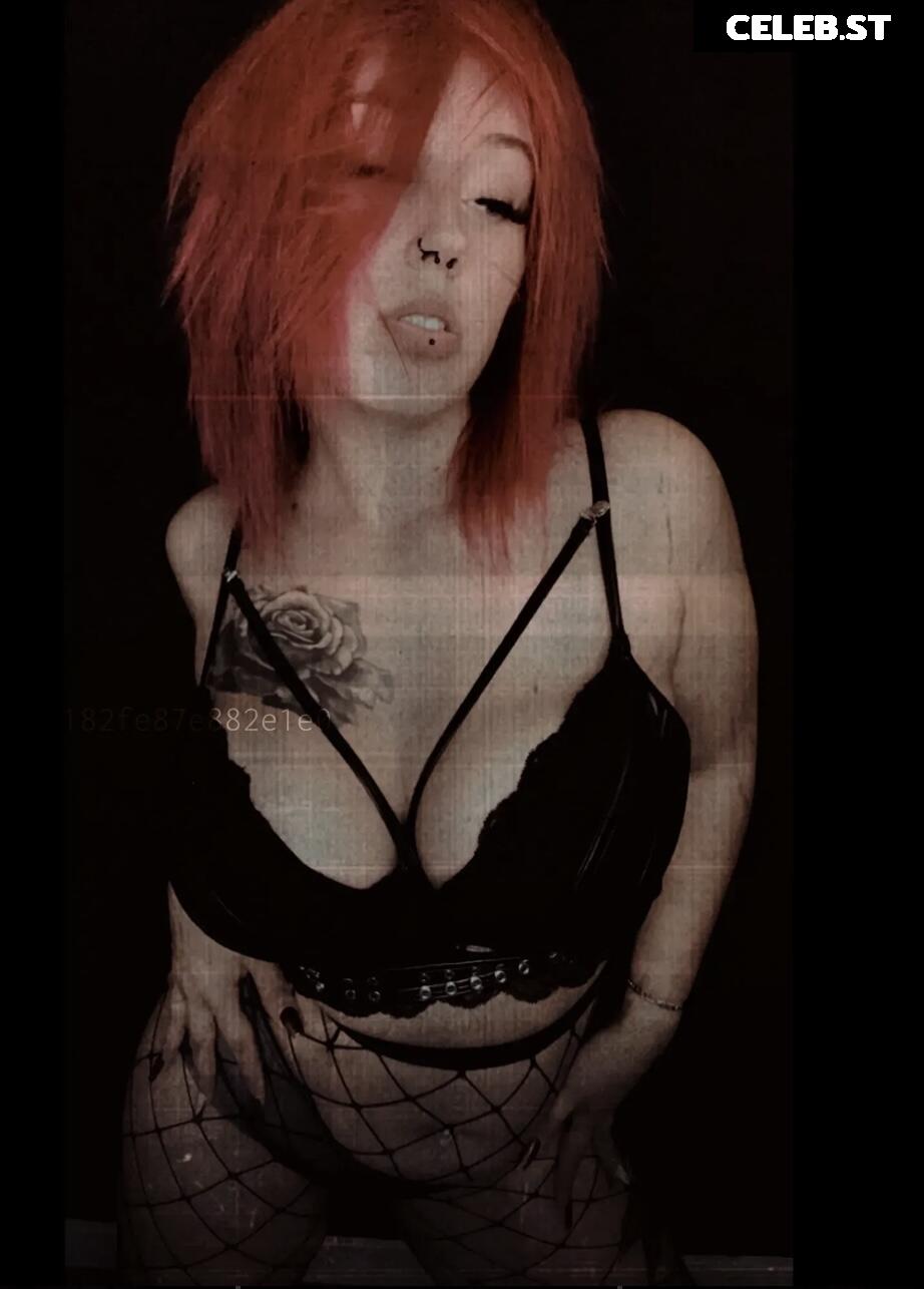 Van.Sen Image 2210564