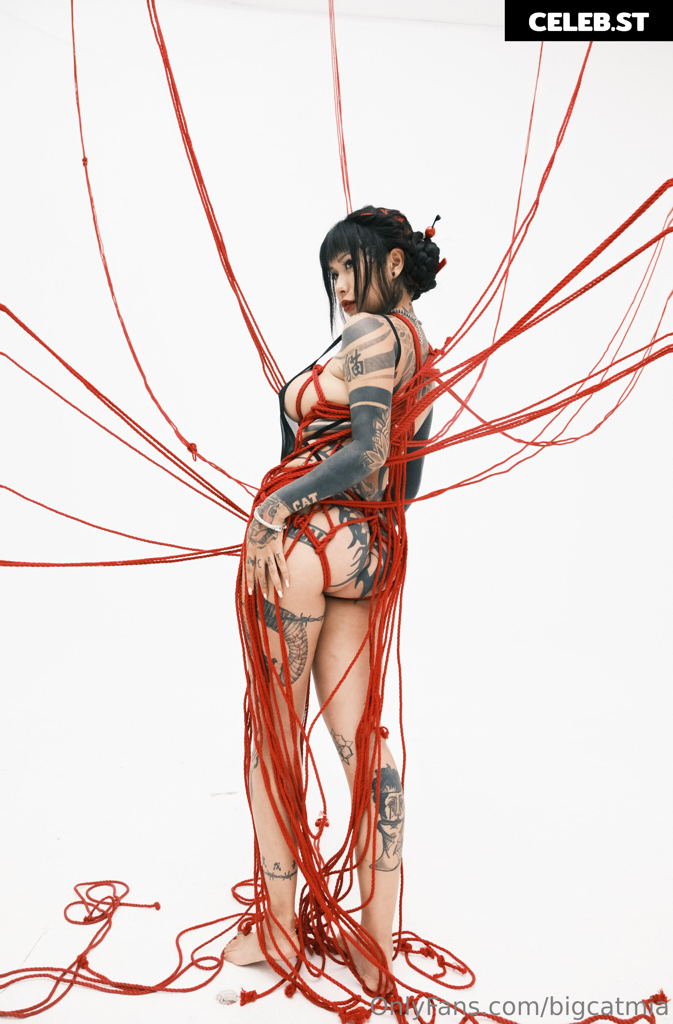 bigcatmia Image 2219725