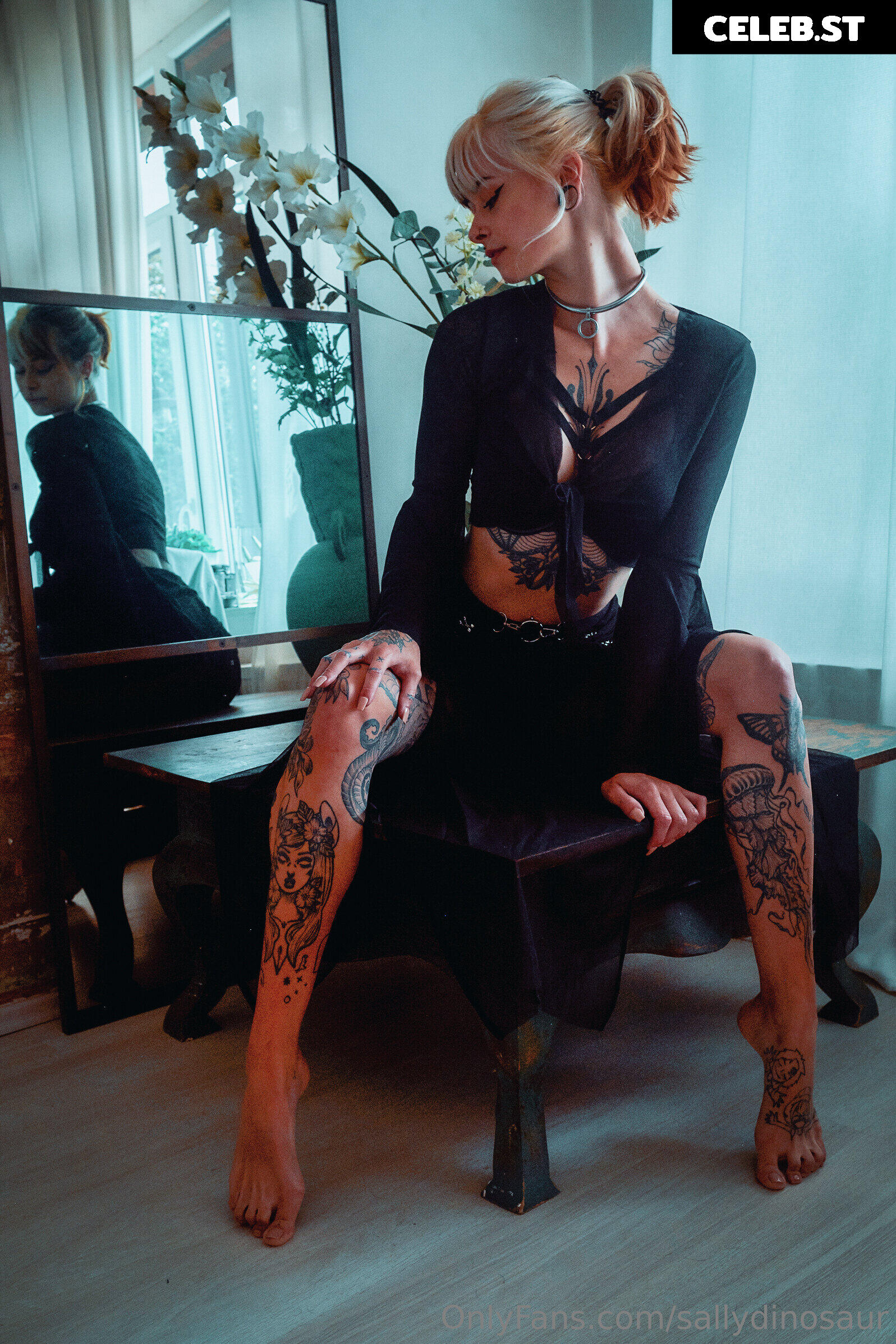 Sallydinosaur Image 2219999