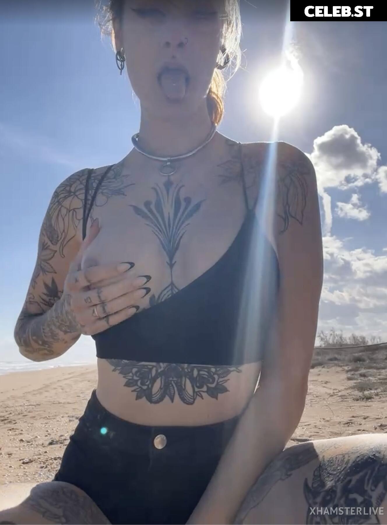 Sallydinosaur Image 2218417