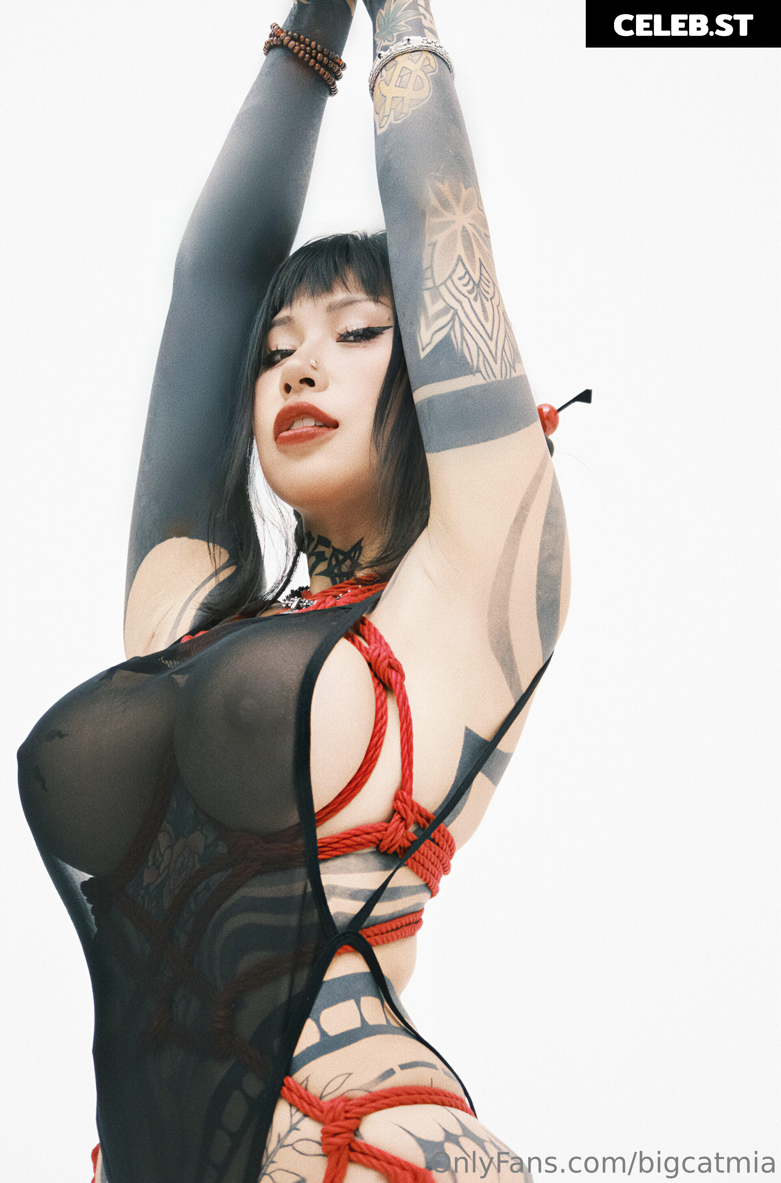 bigcatmia Image 2218125