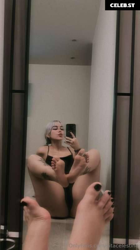 VitaCelestine Image 2207379