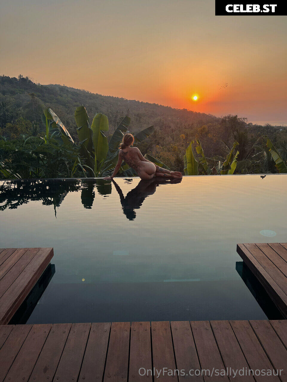 Sallydinosaur Image 2204063