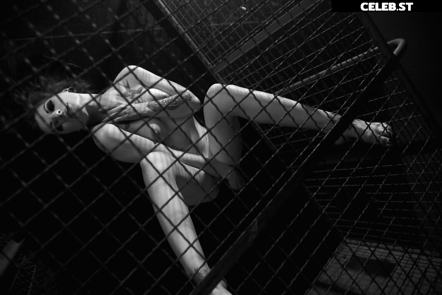 Calvato Photography - Patreon Image 2201581