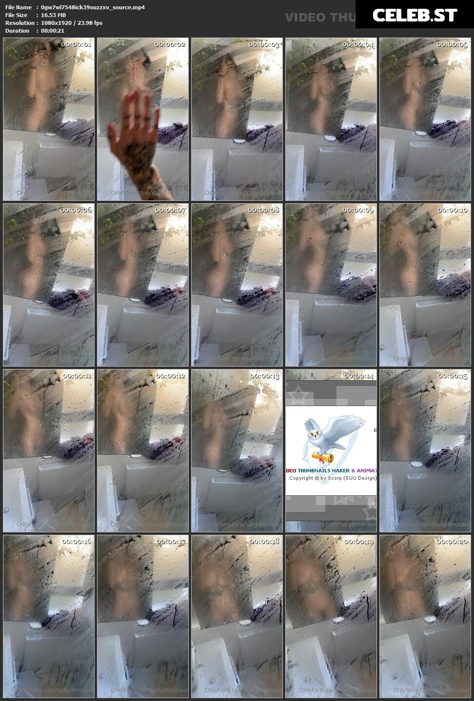 Sallydinosaur Image 2201213