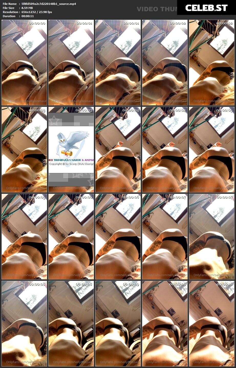 Sallydinosaur Image 2202476