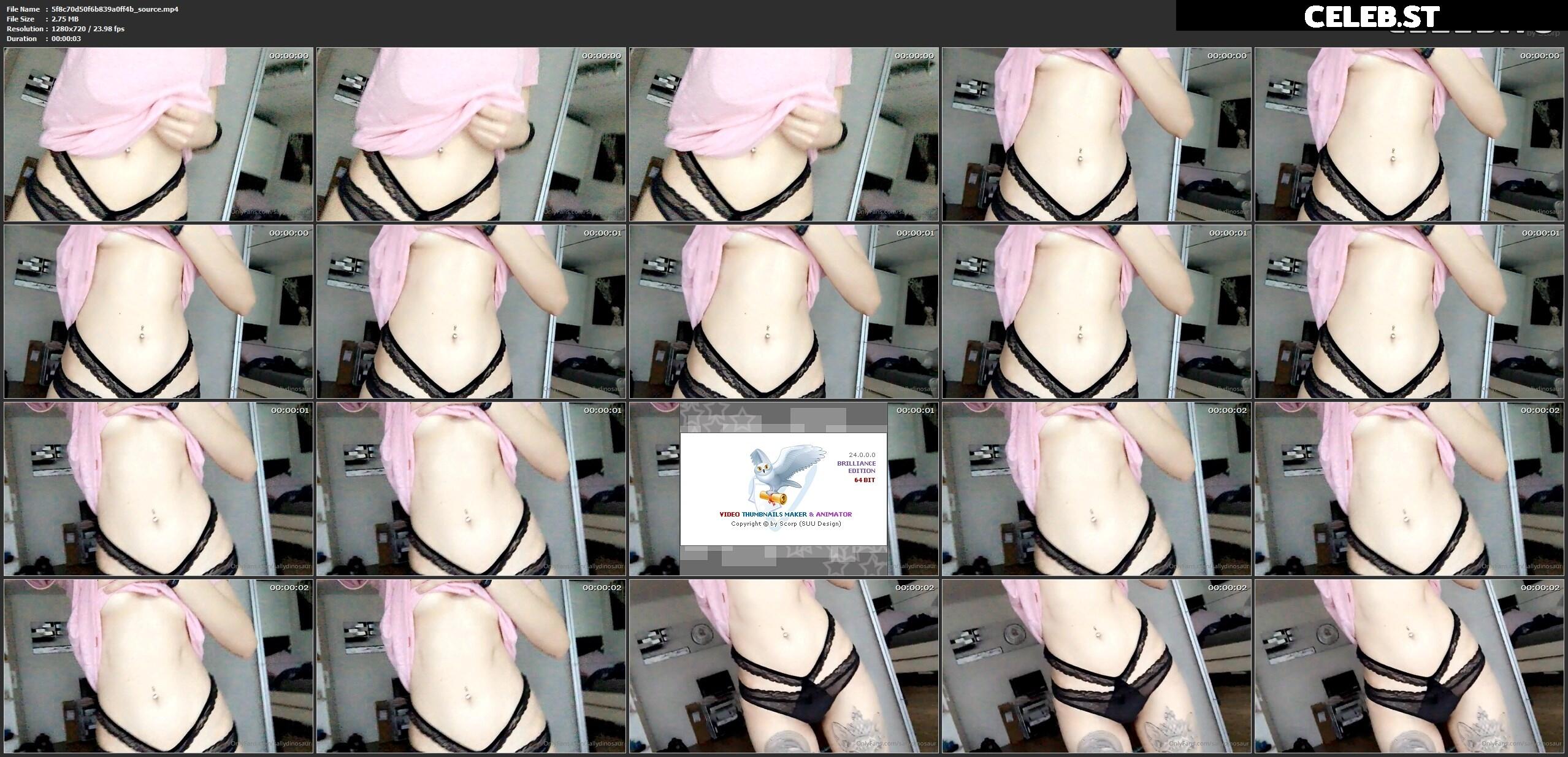 Sallydinosaur Image 2202414