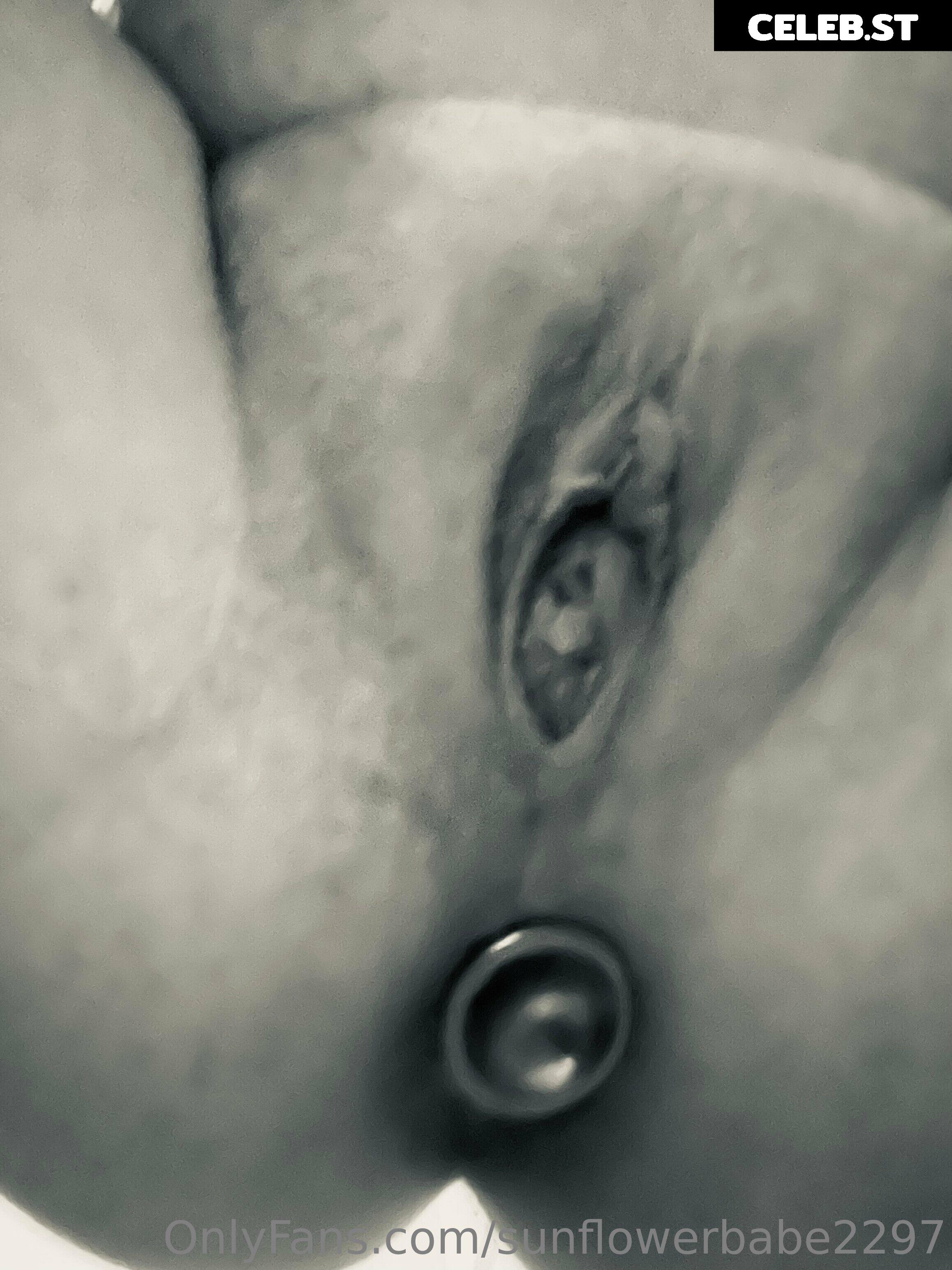 sunflowerbabe2297 Image 22029677