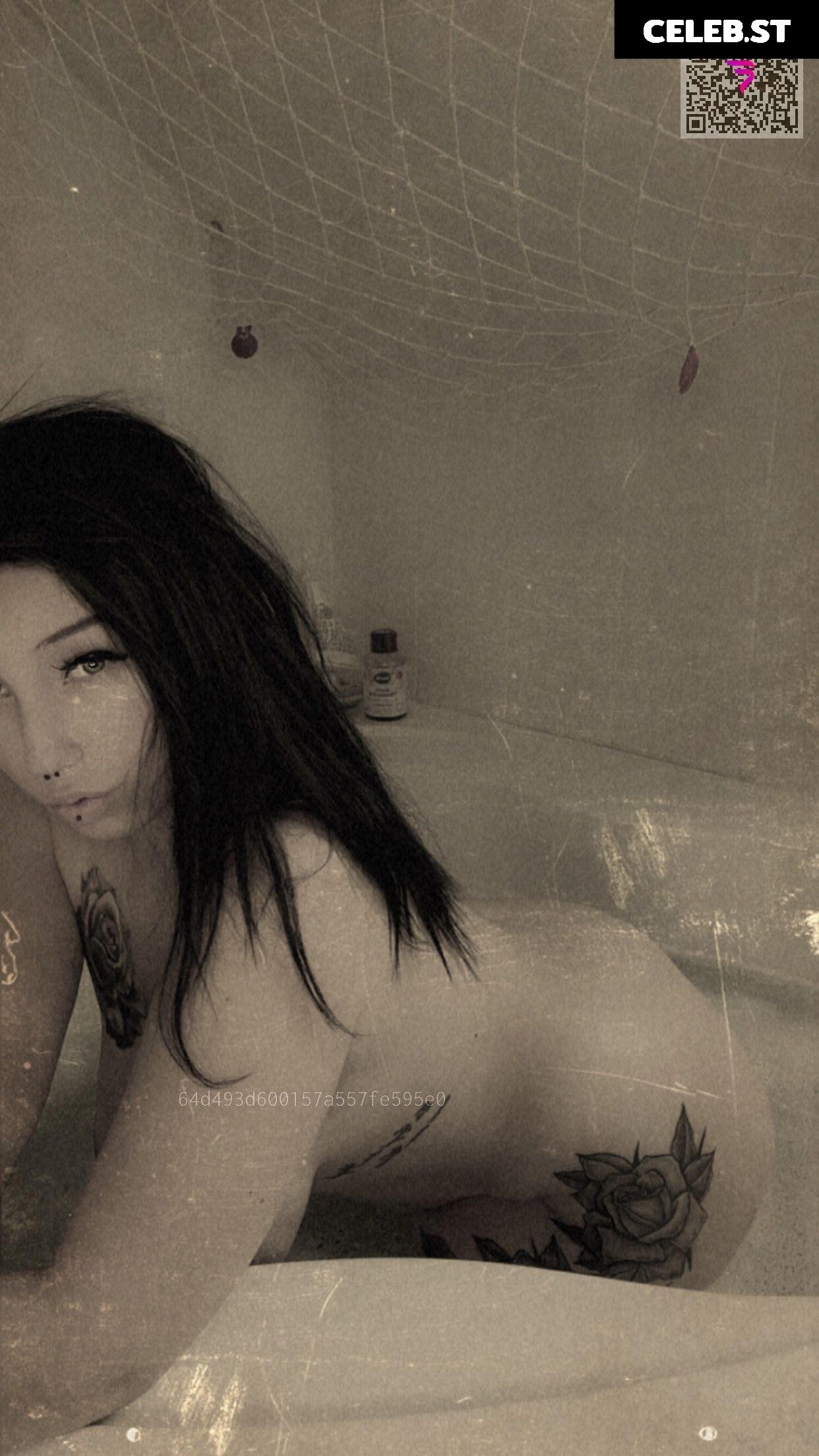 Van.Sen Image 2203452