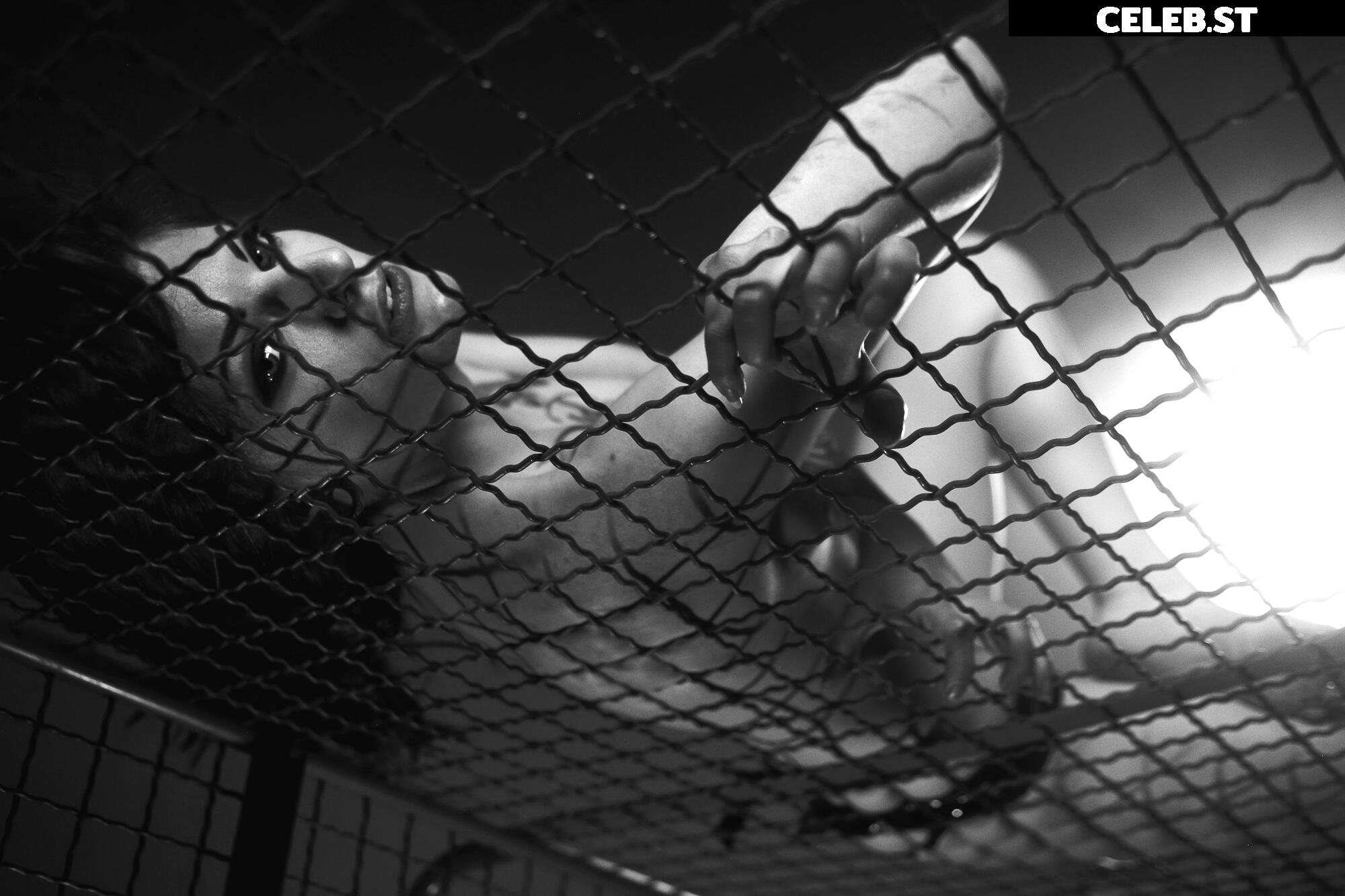 Calvato Photography - Patreon Image 2200861
