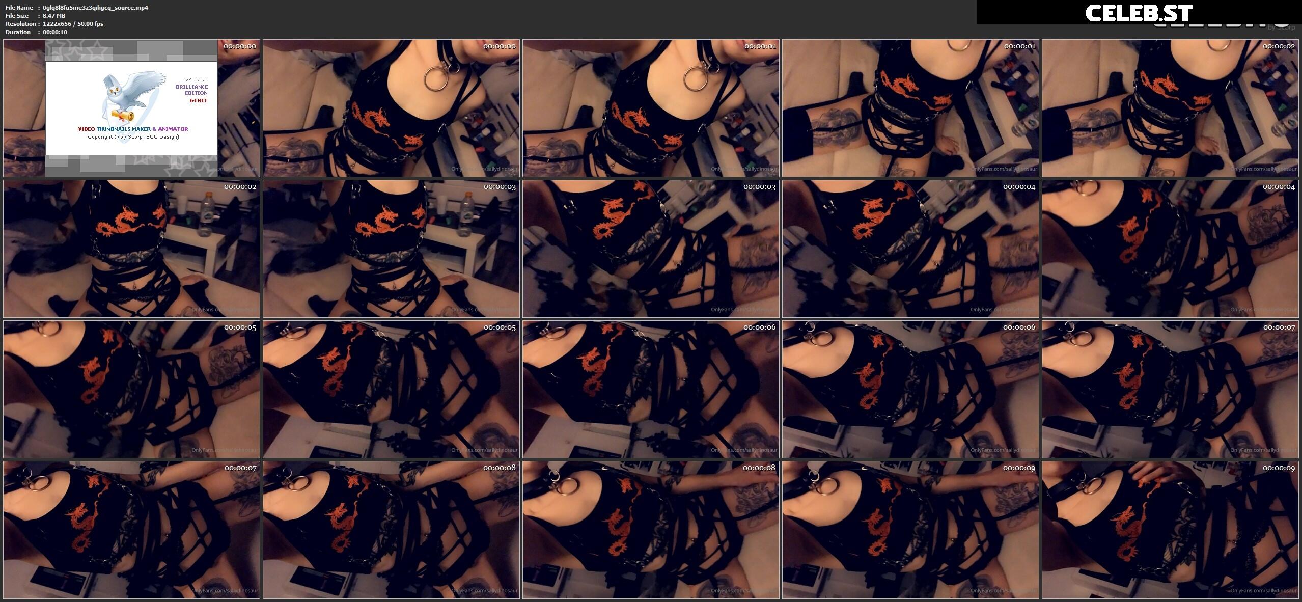 Sallydinosaur Image 2200582