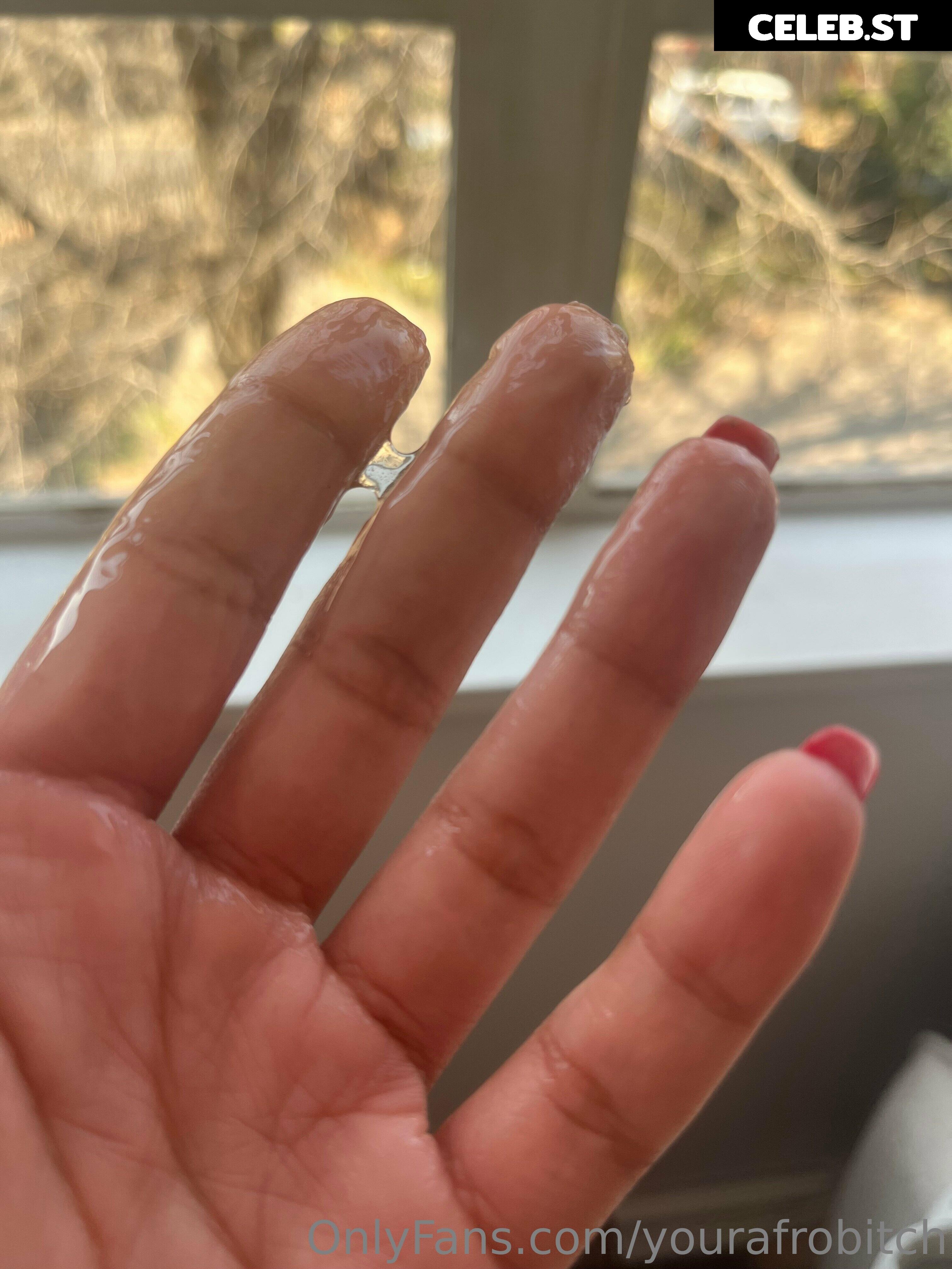 yourafrobitch Image 220008