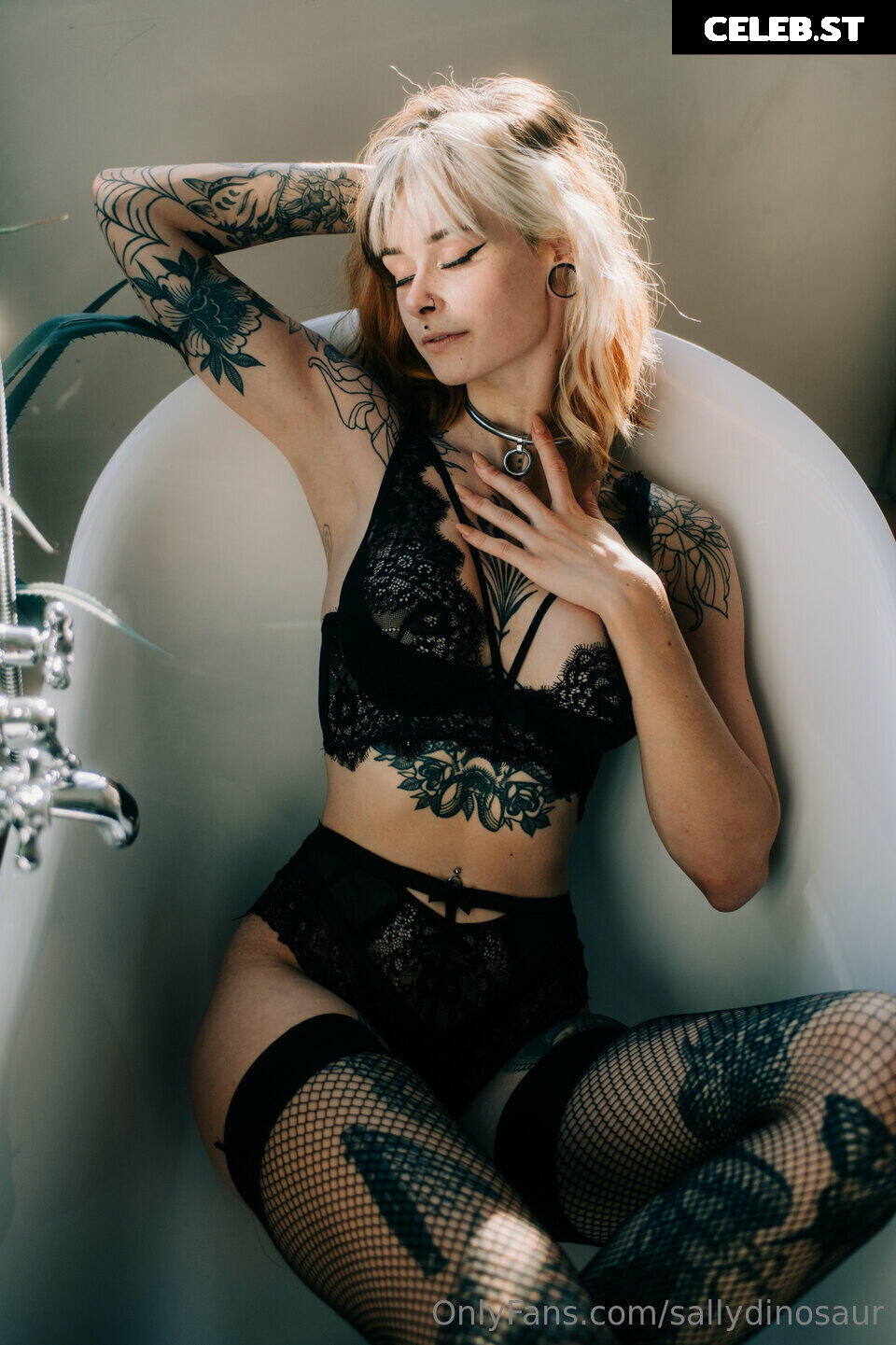 Sallydinosaur Image 2209503