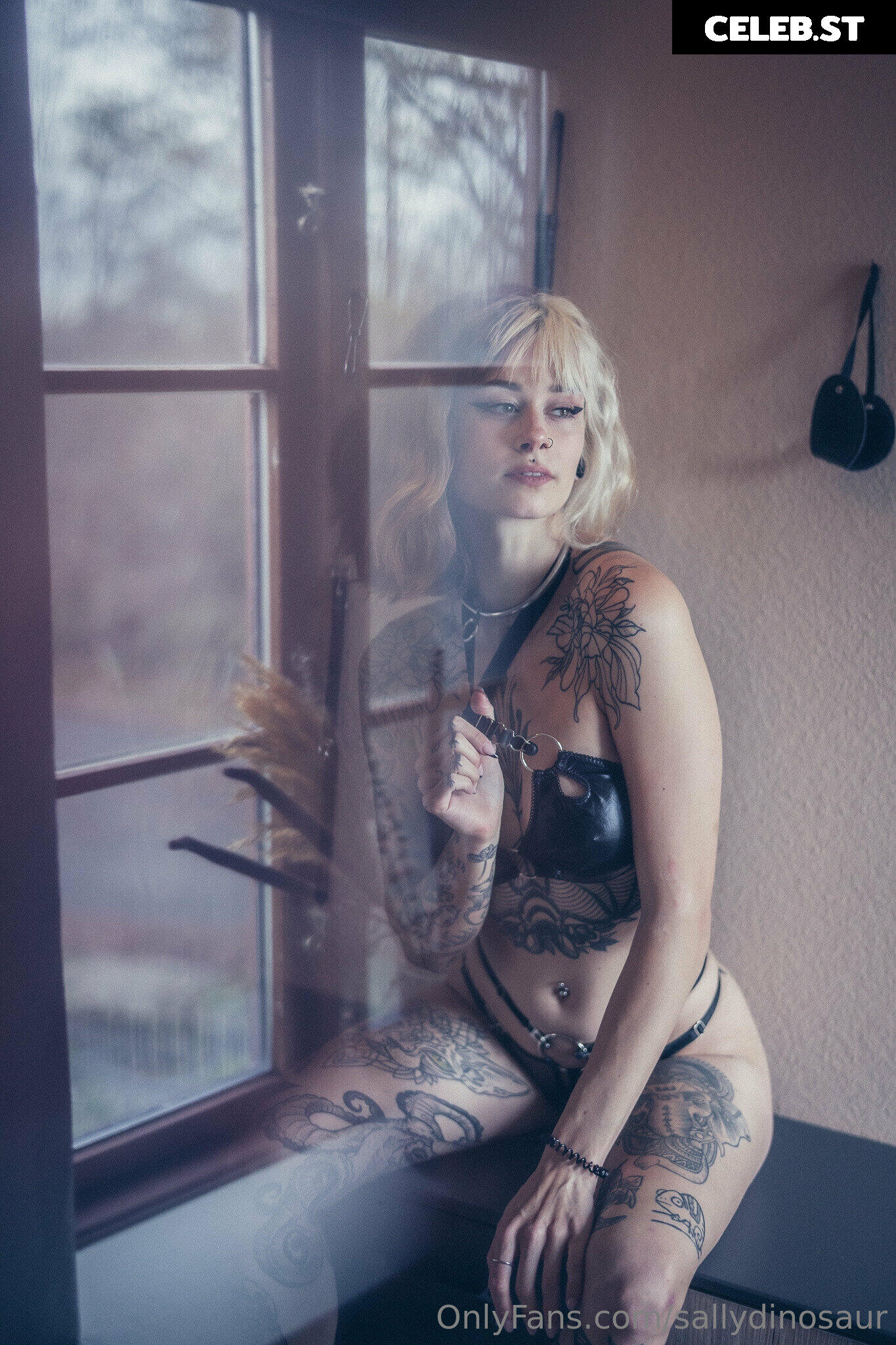 Sallydinosaur Image 2208072