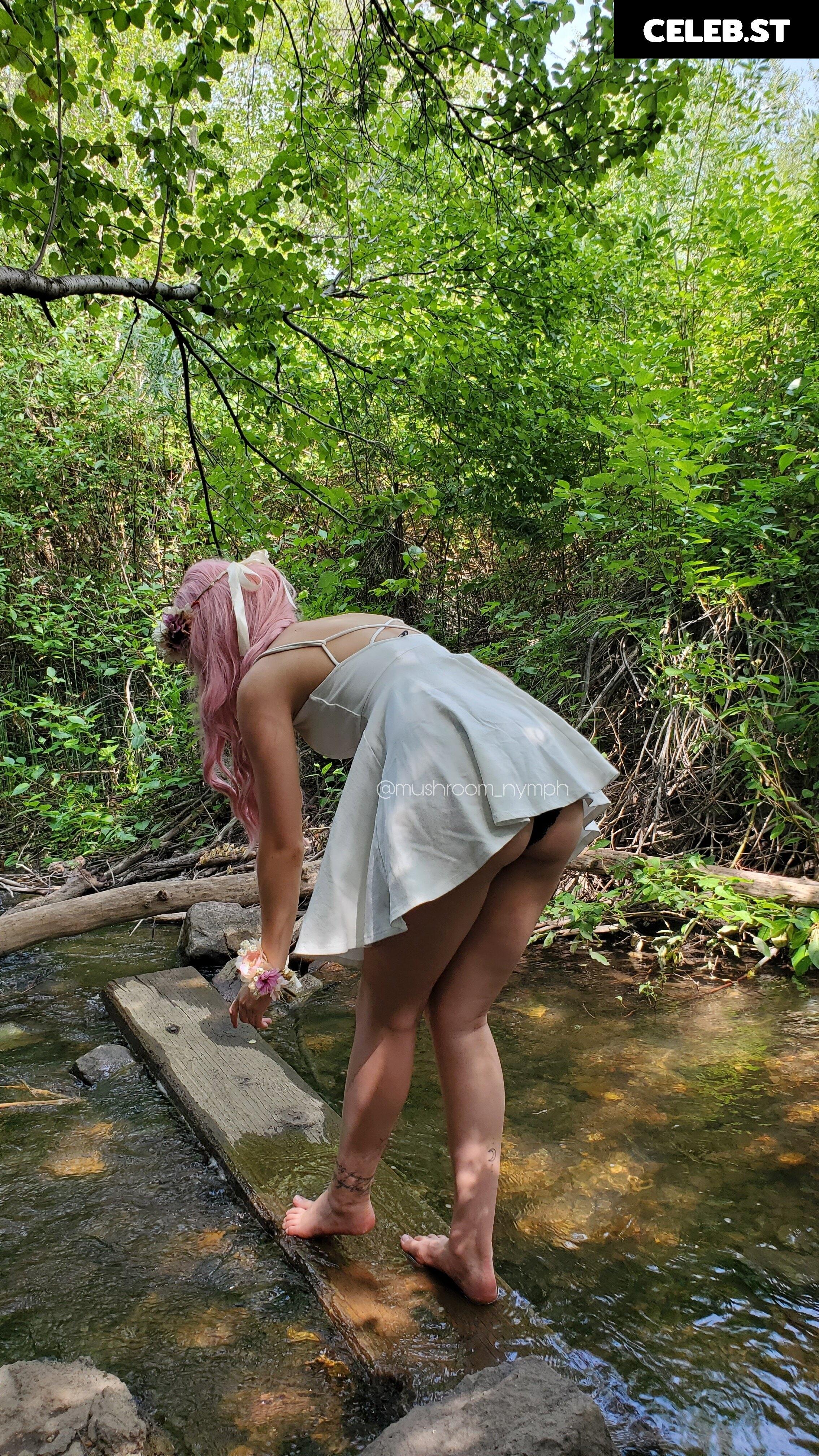 Mushroom Nymph Image 2394481