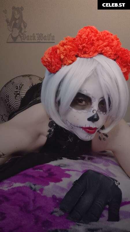 DarkWaifuTrap Image 23944427
