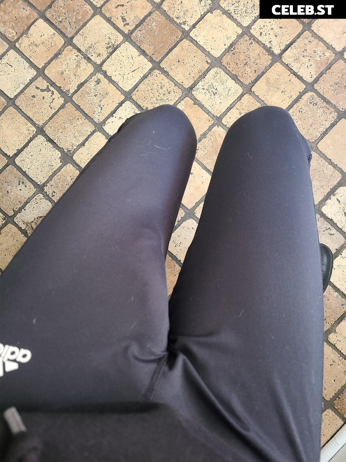 Trappy-chan Image 23949700