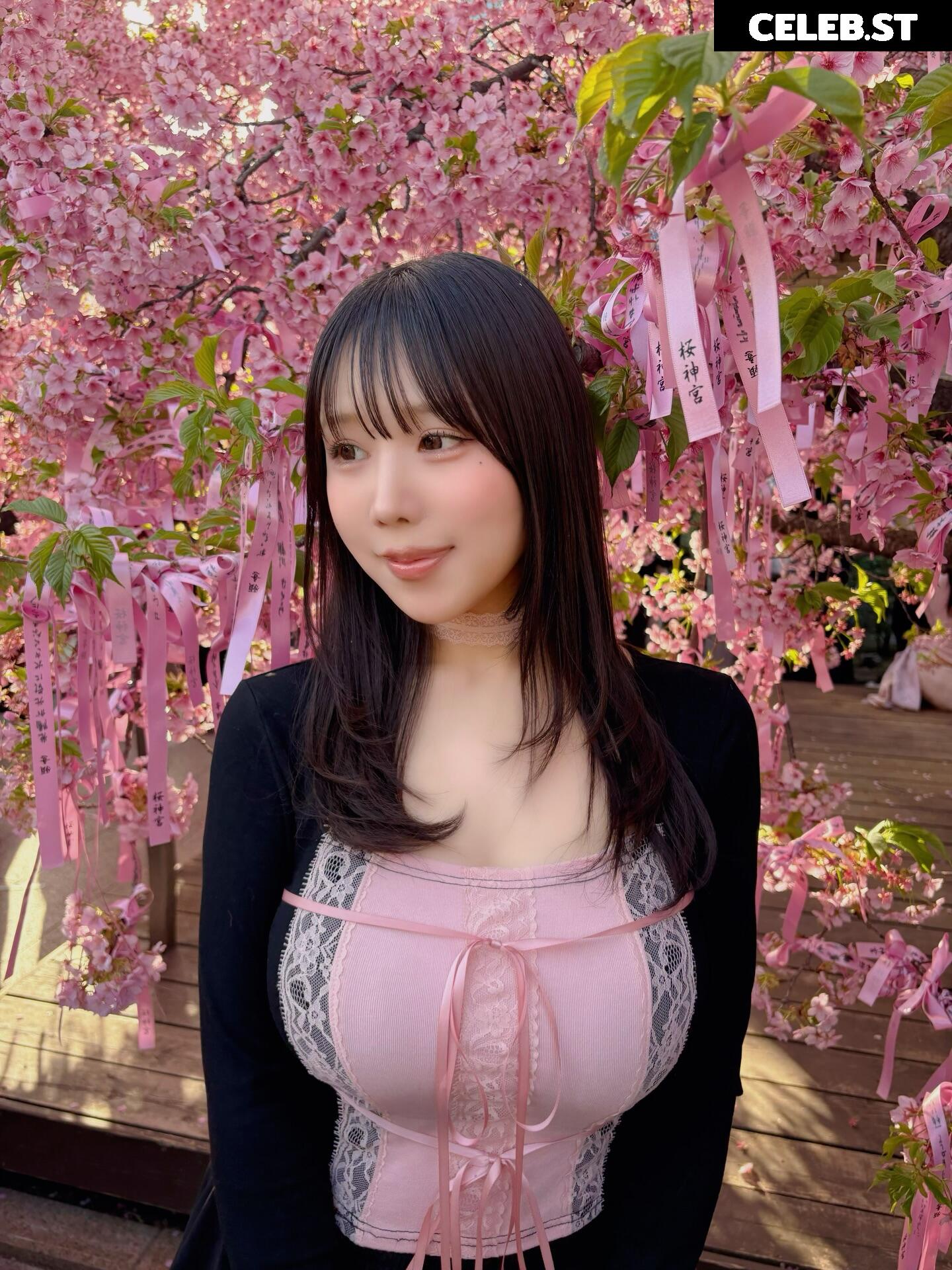 Towa Rabbit / Momoki_0515 Image 23936663