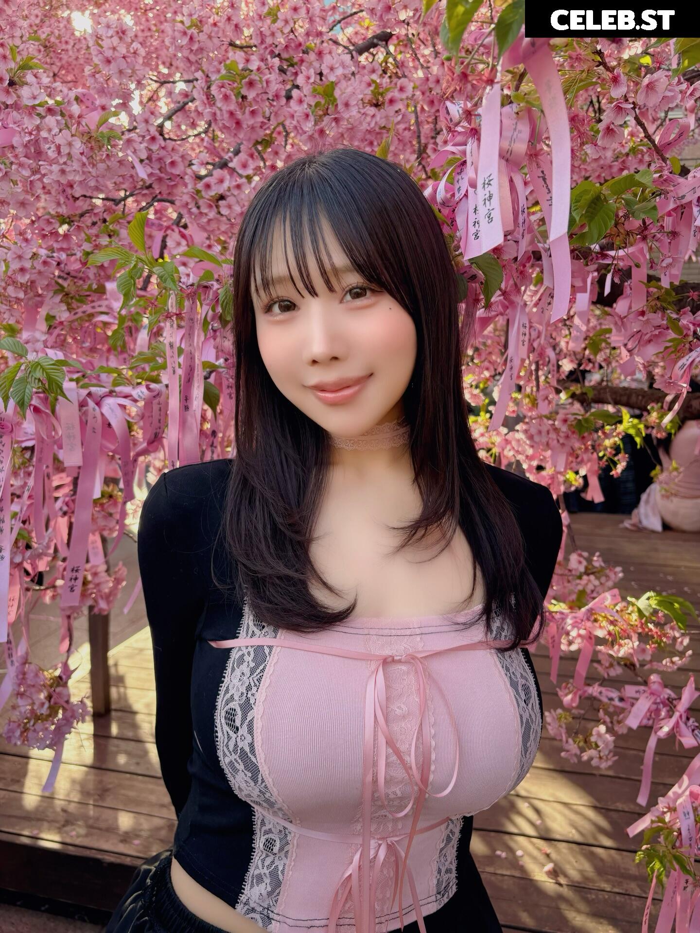 Towa Rabbit / Momoki_0515 Image 23936666