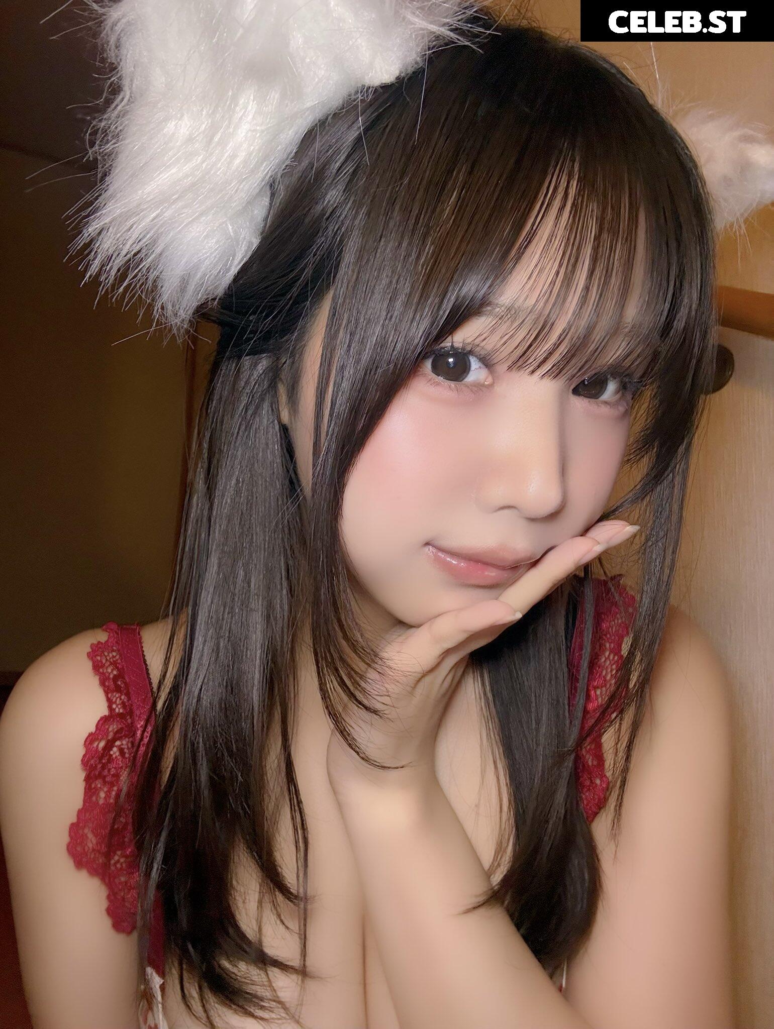 Towa Rabbit / Momoki_0515 Image 23936658