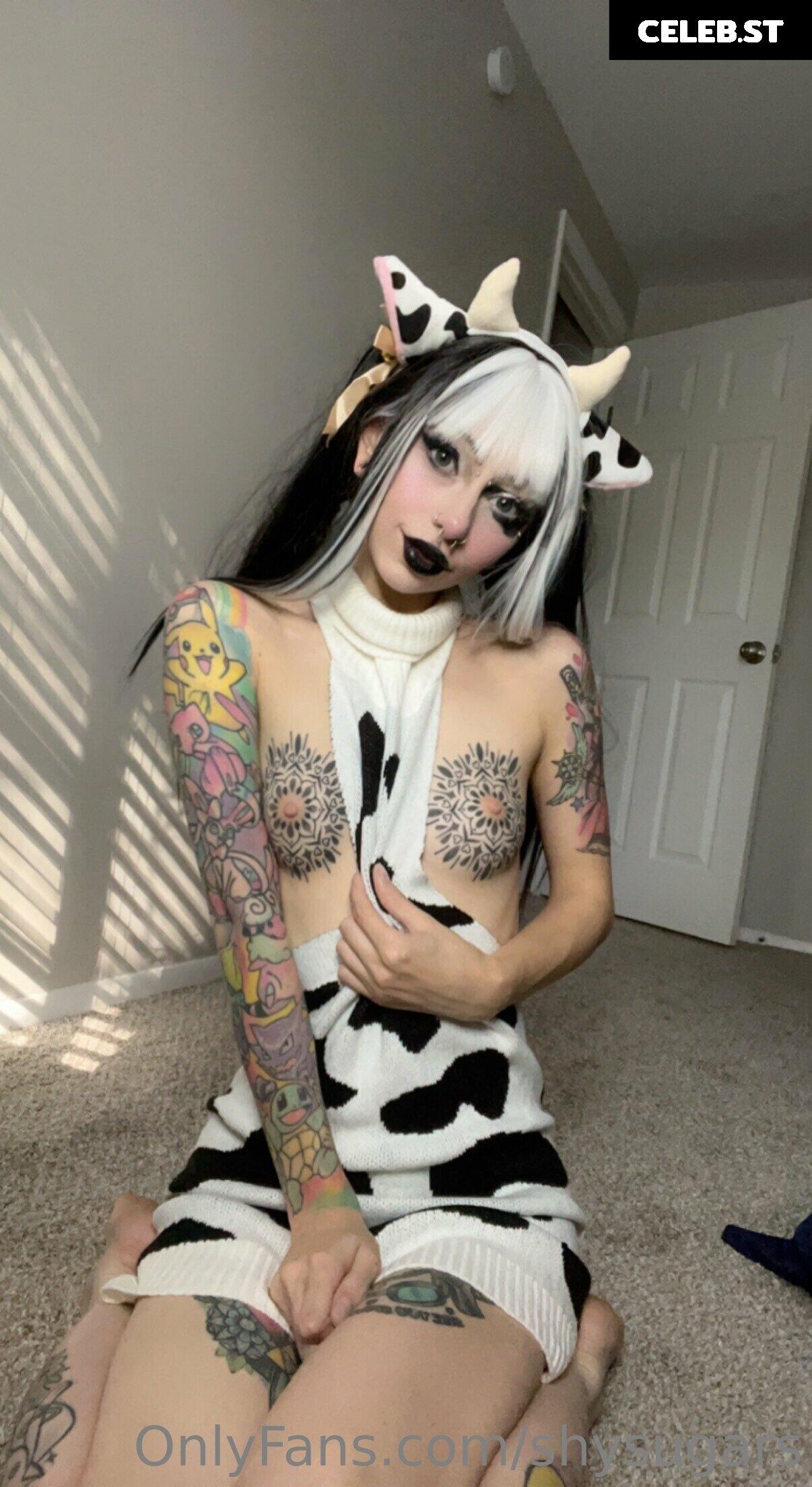 Shysugars Image 2390539