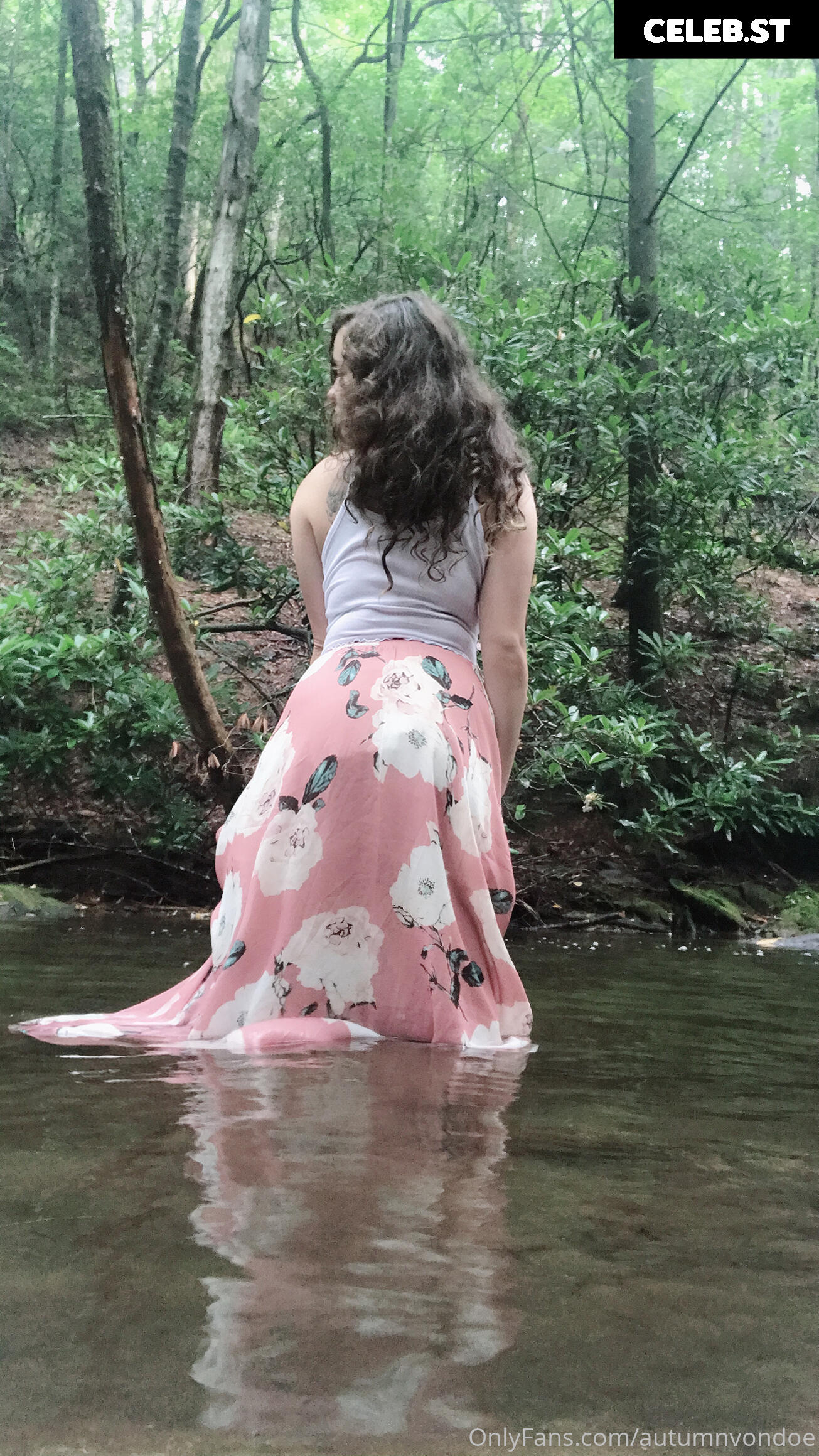 Autumnvondoe Image 2390754