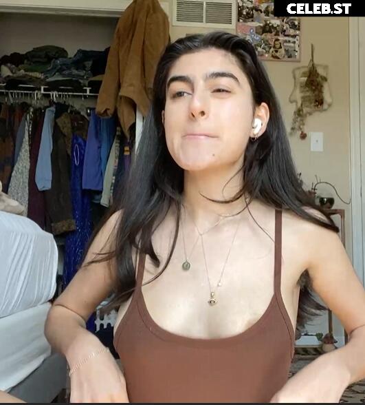 Nipslips &amp; Just Chatting streamers Image 23907185