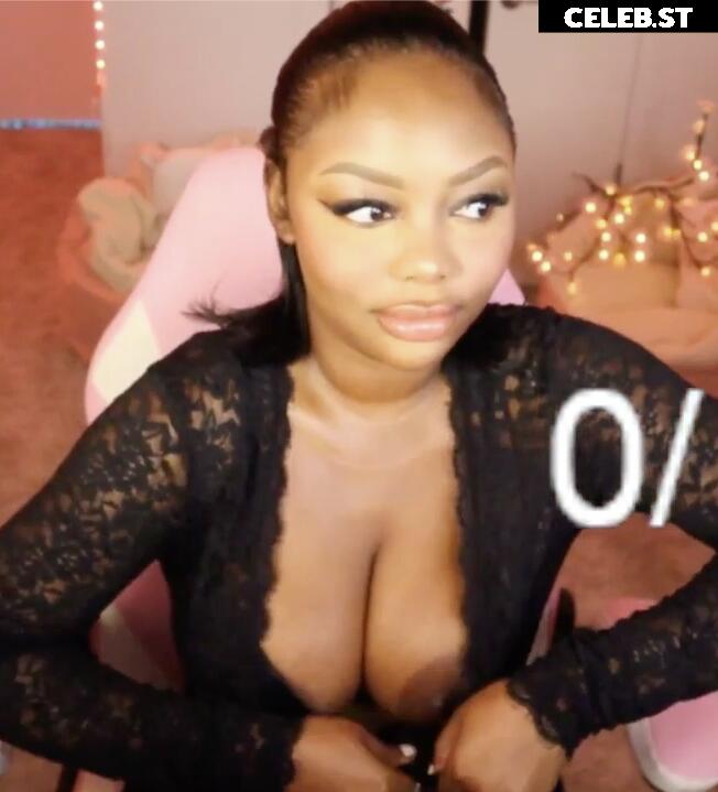 Nipslips &amp; Just Chatting streamers Image 23907159