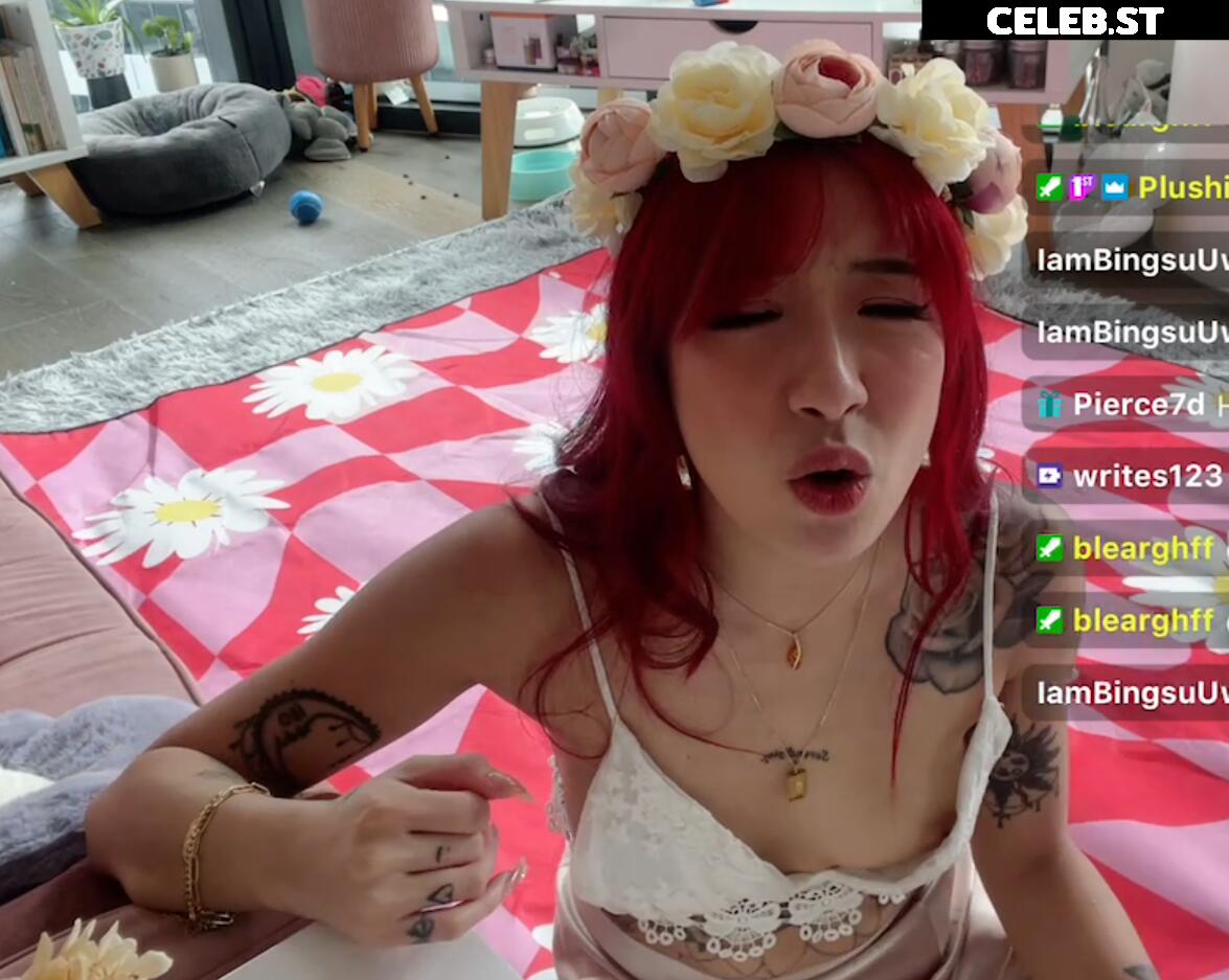 Nipslips &amp; Just Chatting streamers Image 23907029