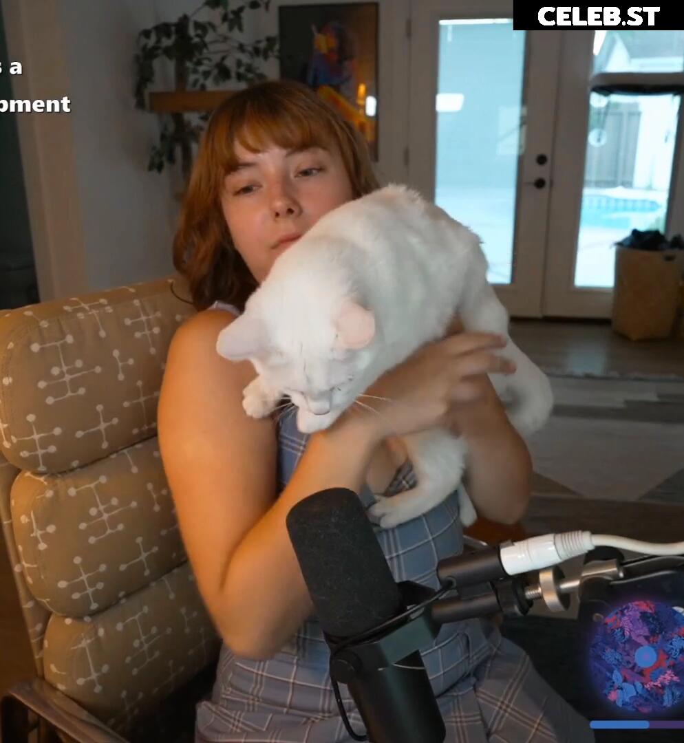 Nipslips &amp; Just Chatting streamers Image 23907061