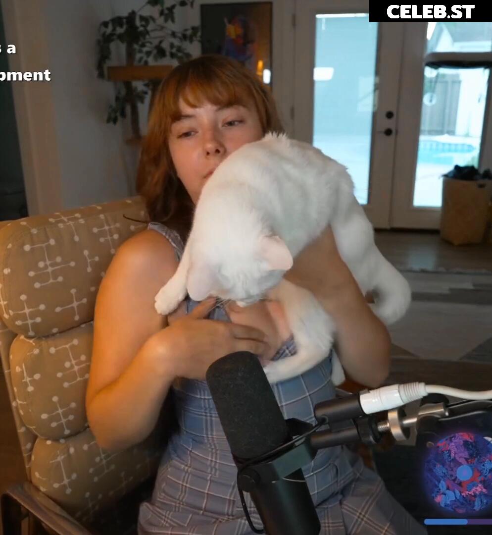 Nipslips &amp; Just Chatting streamers Image 23907060