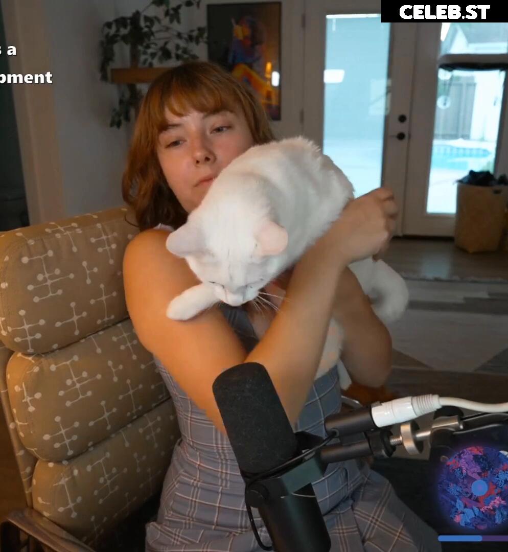 Nipslips &amp; Just Chatting streamers Image 23907059