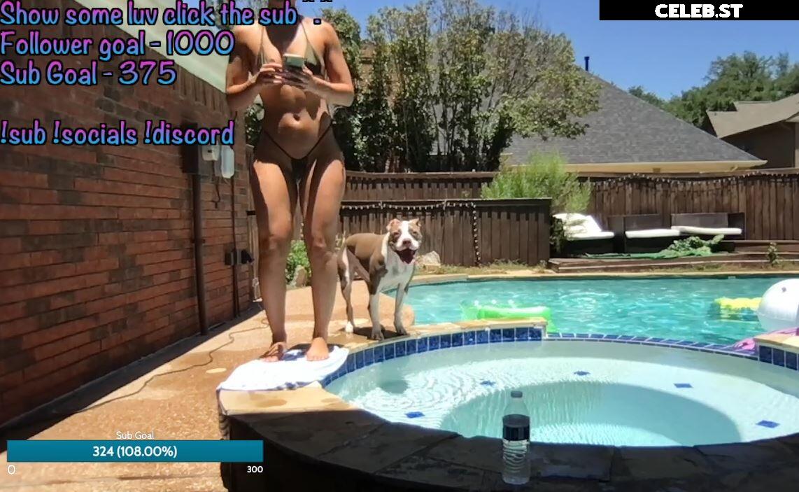 Nipslips &amp; Just Chatting streamers Image 23906812