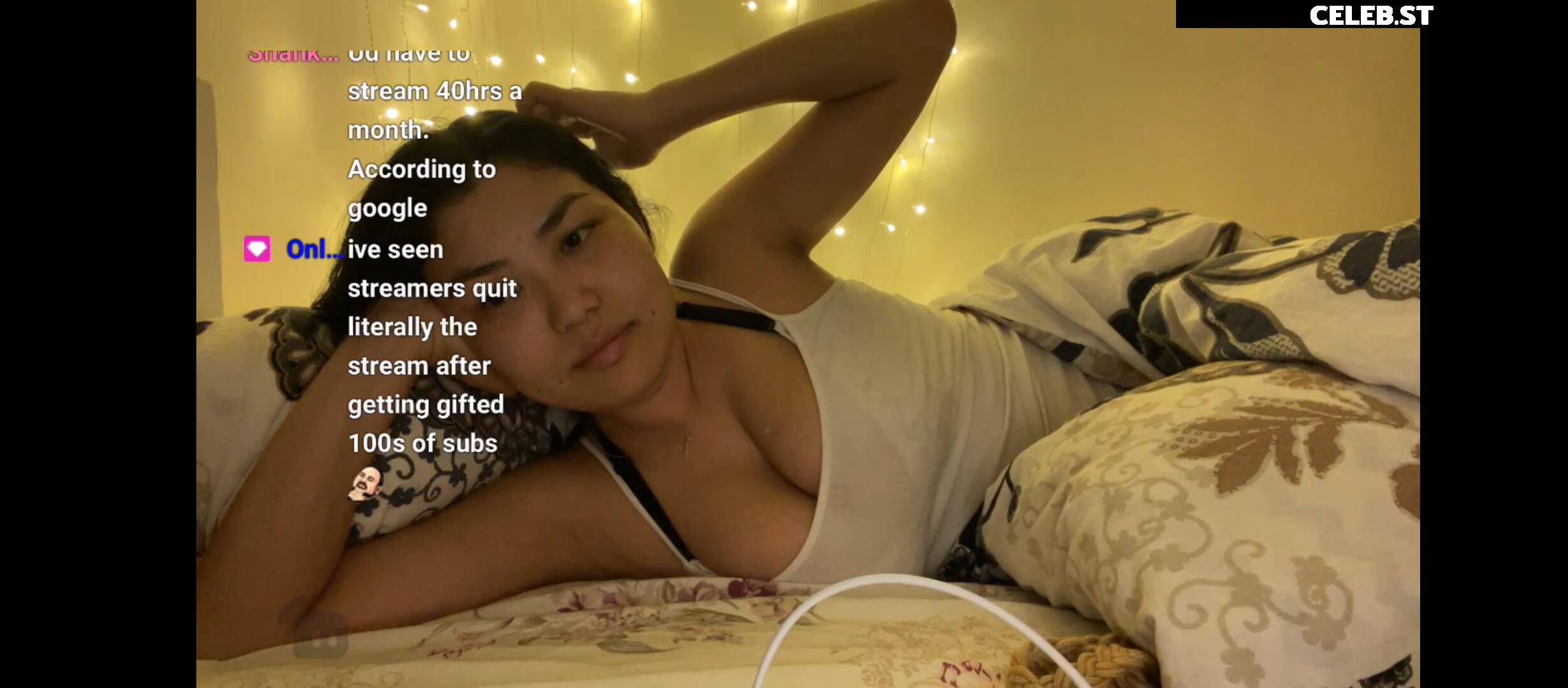 Nipslips &amp; Just Chatting streamers Image 23906791