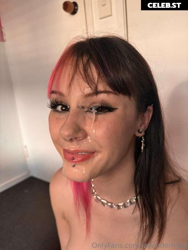 Lavenderhayz Image 239944