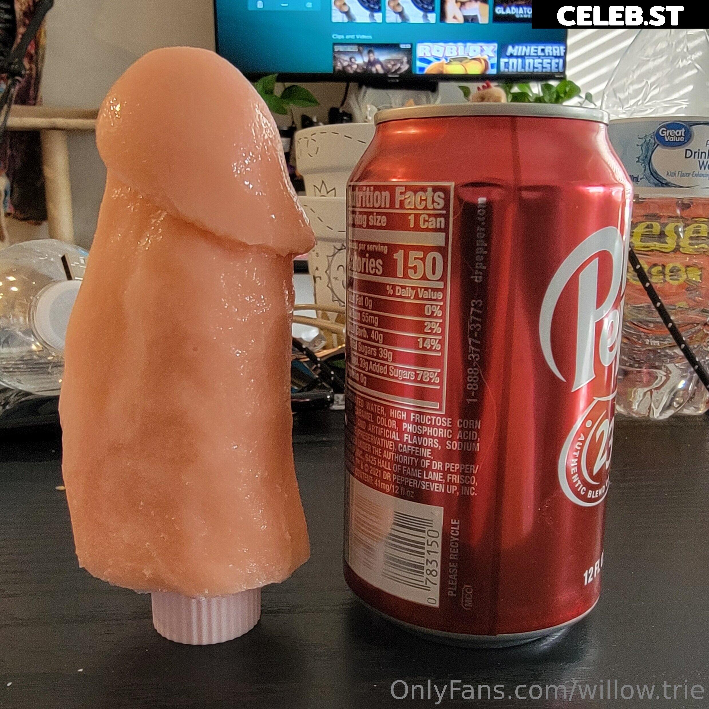 Willow Trie Image 2386494