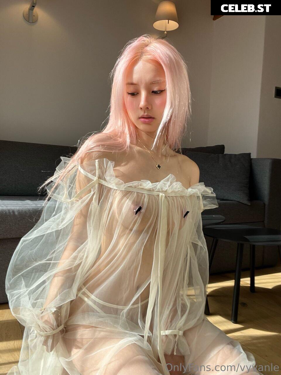 Vyvan Le Image 23875989