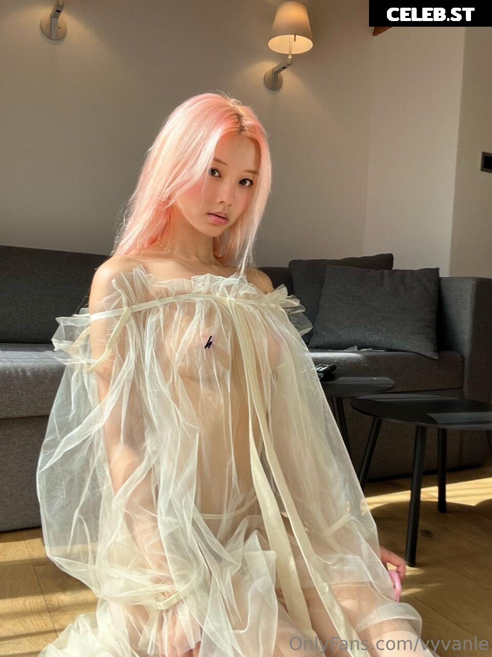 Vyvan Le Image 23875972