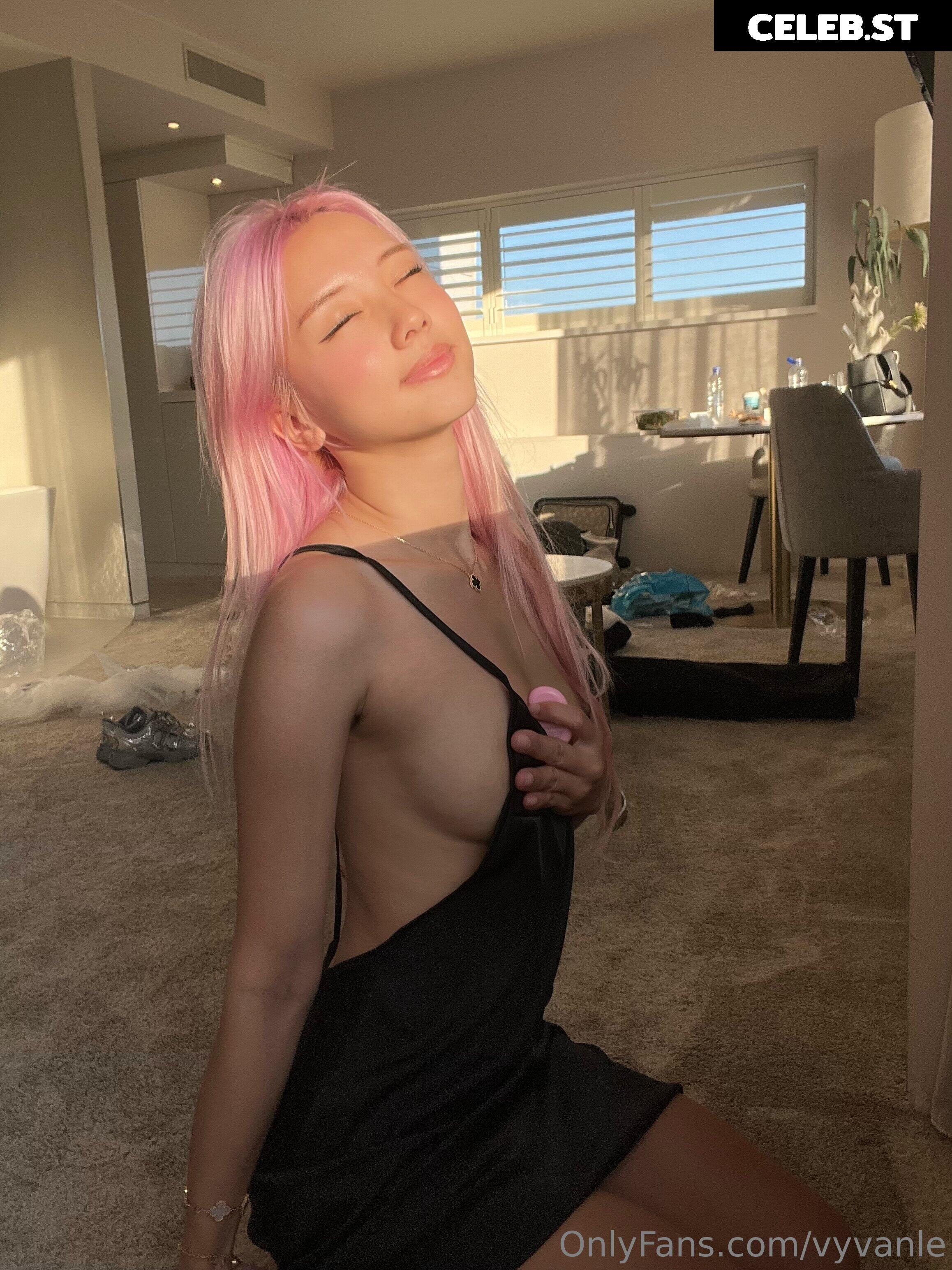 Vyvan Le Image 23875585